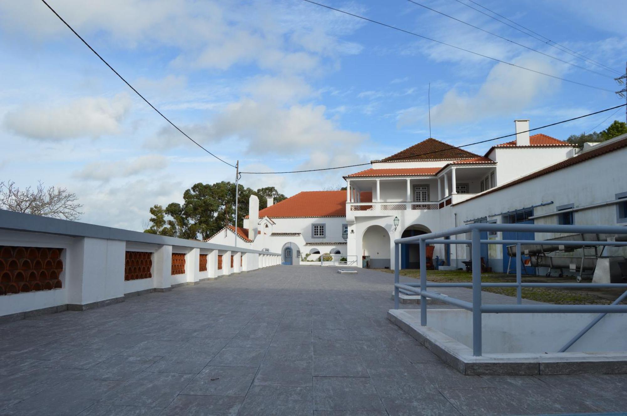 Gasthaus Quinta Do Piloto Palmela Exterior foto