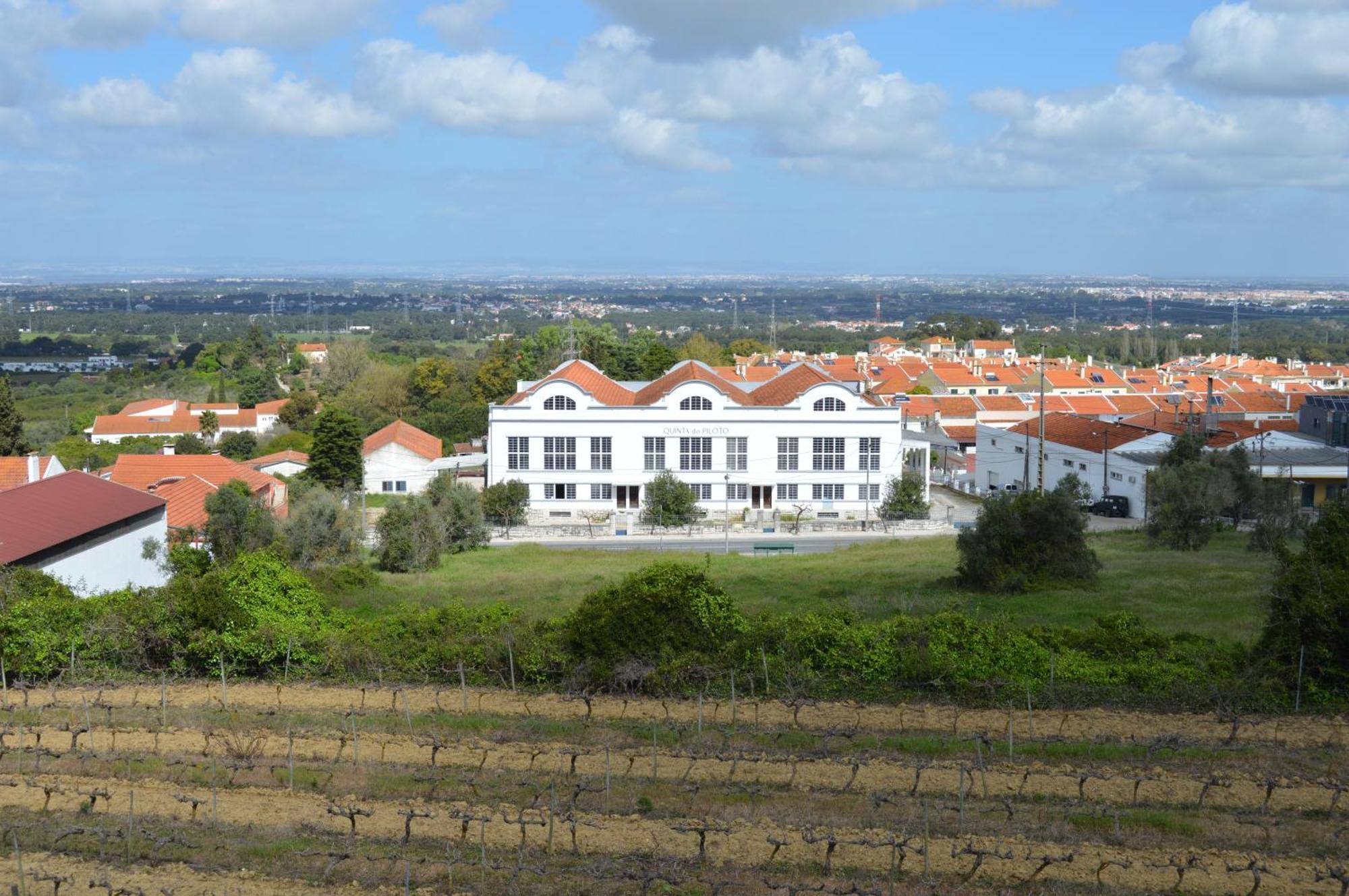 Gasthaus Quinta Do Piloto Palmela Exterior foto