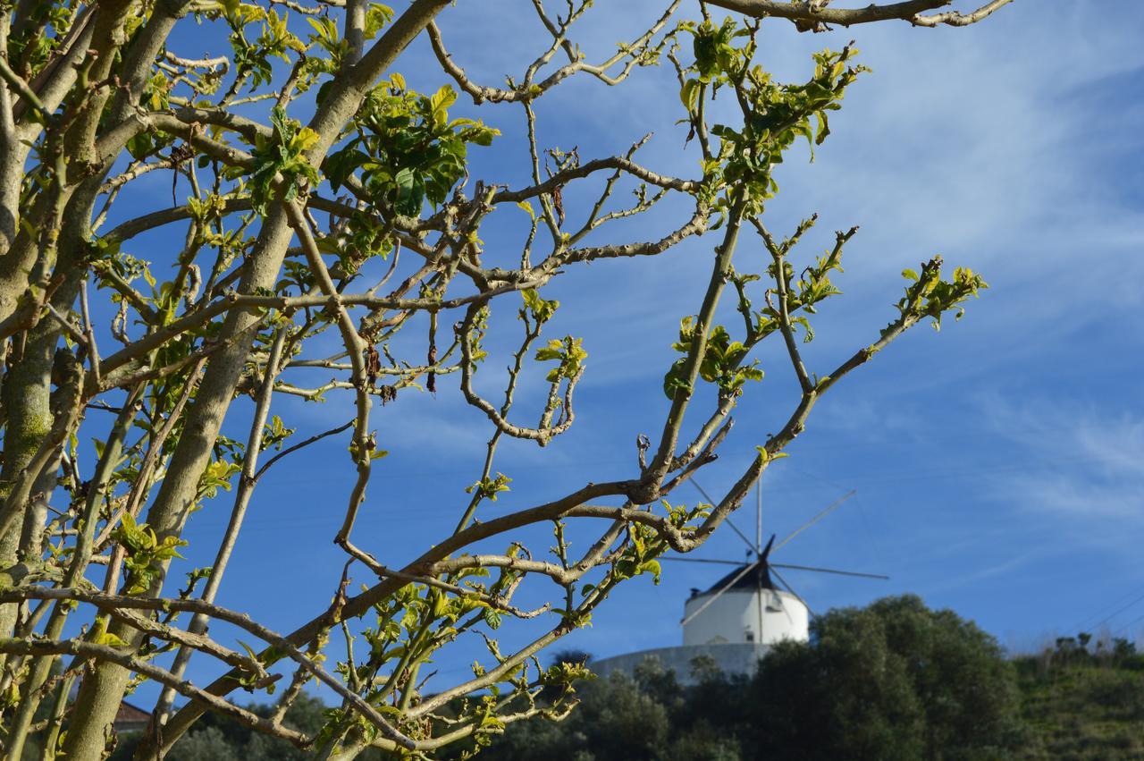 Gasthaus Quinta Do Piloto Palmela Exterior foto